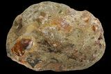 Precious, Ethiopian Fire Opal ( g) #190215-1